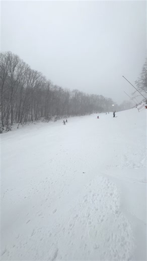 How to Use Sticks for Fun Activities