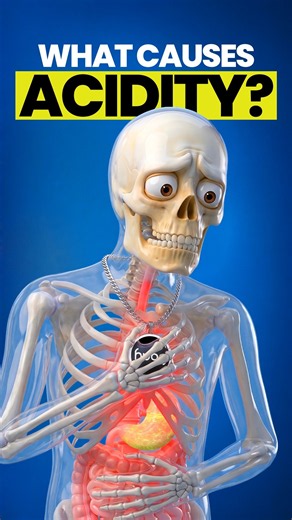 What Actually Causes Acidity — The Acid Pocket Explained