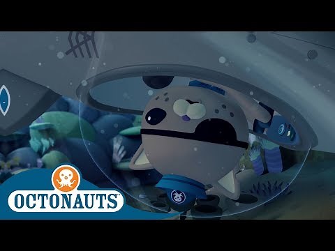 #StayHome Octonauts - Saving Kwazii | Full Episodes | Cartoons for Kids