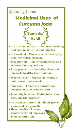 Benefits of Turmeric: The Golden Healer | Medicinal Uses of Curcuma longa #tumericbenefits #nature