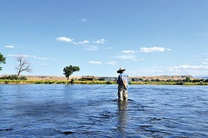 The New 'Horn: Montana's Bighorn River - Fly Fisherman