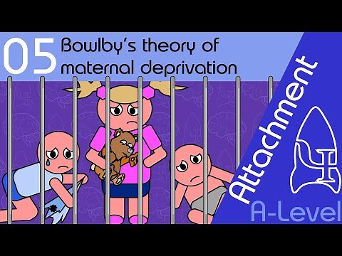 Bowlby’s theory of maternal deprivation - Attachment [A-Level Psychology]