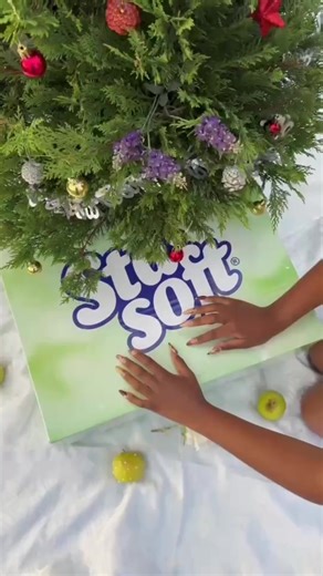 Festive coziness, unboxed with Sta-Soft 🍏✨ Celebrating the season with Sta-Soft’s new apple-fragranced fabric softener… and a little festive surprise for you too!🤭 GIVEAWAY 🚨🎁 Stand a chance to win a R1,500 Mastercard voucher! How to enter: • Follow @Sta-Soft South Africa • Like this post • Tag one friend per comment (1 comment = 1 entry) Competition closes 12 January! Keep an 👀on the Sta-Soft page for the winner announcement. Ts and Cs apply 👀 #StaSoft #FestiveSoftness #ChristmasWithSta #