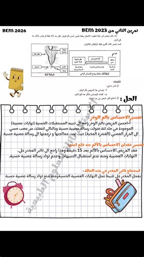 Vidéos de prof Neila science (@prof.neila.scienc) avec الصوت الأصلي - القارئ بلال دربالي