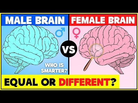 Male Brain vs Female Brain: Differents between male and female brains -men's brain and woman's brain