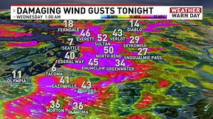 3.7K views · 28 reactions | Weather model WIND GUST FORECAST for...
