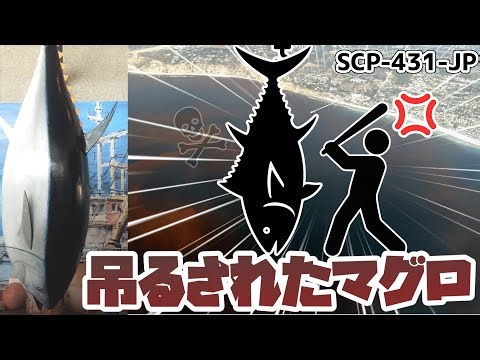 【SCP-431-JP】吊るされたマグロ