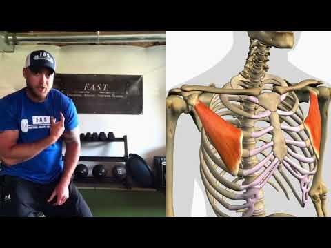 Improve Squat Mobility Part 4 — Pec Minor How Chest Tightness Kills Your Squat