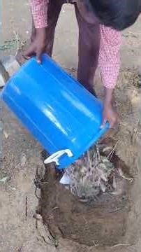 Making of Compost Manure