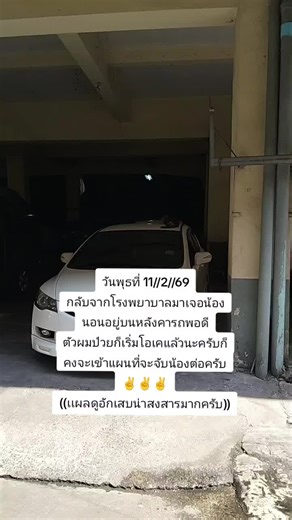 วิดีโอของ #ขวัญใจเหมียวๆ#😻 (@2525_put) พร้อมเพลง เสียงต้นฉบับ - #ขวัญใจเหมียวๆ#😻