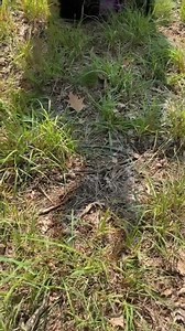 Maleficent from Sleeping Beauty costume! #villaincostumes #maleficentcostumes | HalloweenCostumes.com