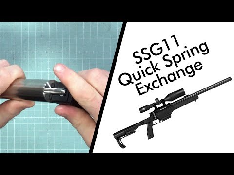 SSG11 Quick Spring Exchange
