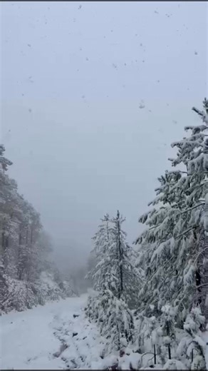 ❄️🌨️ Tercera tormenta invernal deja intensas nevadas en #Chihuahua. La tercera tormenta invernal de la temporada provocó la caída de nieve desde la mañana de este sábado en al menos tres municipios de Chihuahua, donde las temperaturas descendieron hasta los siete grados bajo cero. Las nevadas se concentraron principalmente en el municipio de Ocampo, donde se acumuló una capa de hasta 50 centímetros de nieve en la zona serrana. 📹 Marvin #CentralQNoticias #Oaxaca #Noticias www.centralqoax.com | 