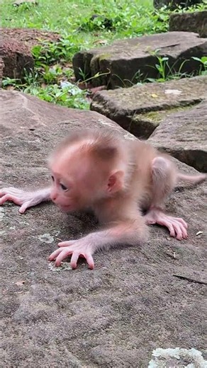 How Cute Baby Meta Loudly Calling Mom