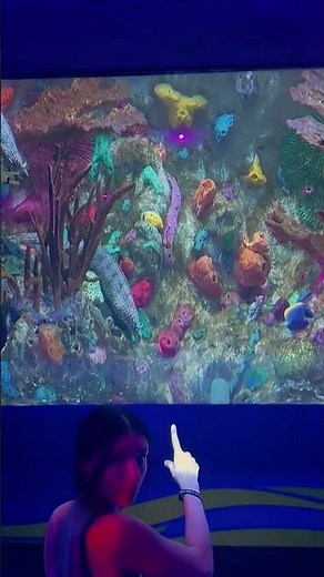 Ripleys Aquarium of the Smokies