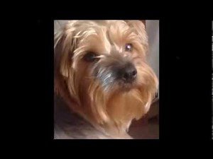 Avril Lavigne - I miss you