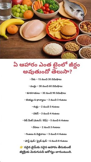 How Long Does Food Take to Digest? | Complete Digestion Time Chart Explained