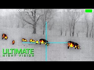 80 Hogs Down with the FLIR ThermoSight Pro PTS233