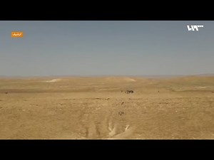 بعد 3 سنوات من إعلان القضاء عليه تنظيم الدولة يعود باستراتيجية "الذئاب المنفردة"