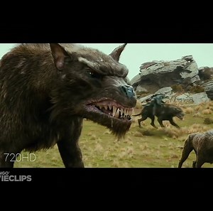 Thrilling scene.......... [Full HD] #Like& Share #HDVdieos Like our page for more 👉720HD | 720HD