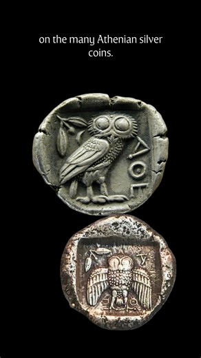 This is the glaux, a 5th-century BCE Athenian cup decorated with an owl and olive branches, the symbols of Athena and her city. For those wanting to know more, the first episode of the Through Ancient Eyes podcast will be ready soon. #throughancienteyes #hellenistichistory #ancientgreece #athena #athens #ancientart #greekpottery #archaeology #museumtalk #ancienthistory #classicscommunity #materialculture #greekmythology #museumstories #historylovers | Hellenistic History