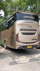 Bus Baru Line Perdana Sukabumi - Pekan Baru.. #bisminang #tam #kardusbalap #bismania #fyp | Burhan Refani