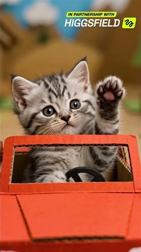 🚞 Trains, Cars & Cats! 🐈 Learns Road Safety 🚧 #fun #kids