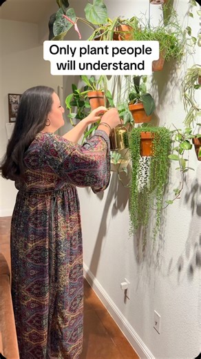 70K views · 11K reactions | My wife LOVES Hoya! She’s a Hoya queen! You’ll find her tracking them down all over the house - especially when they’re in flower! This one is Hoya Krohniana @mrstannertheplanter | Tanner The Planter | Facebook