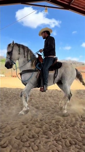The Young Old Man - Joan Sebastian