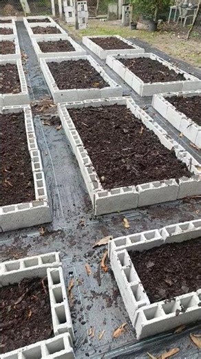 Let's put compost in. #garden #compost #homegarden #urbangardeningdiy