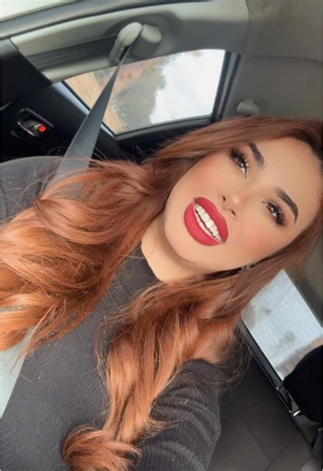 Driving with Style: Capturing Car Interiors