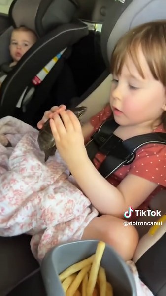 Helping Babies Overcome Fear of Bugs