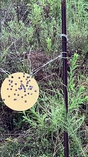 Shooting Cimarron 1851 Colt Conversion in 38 special