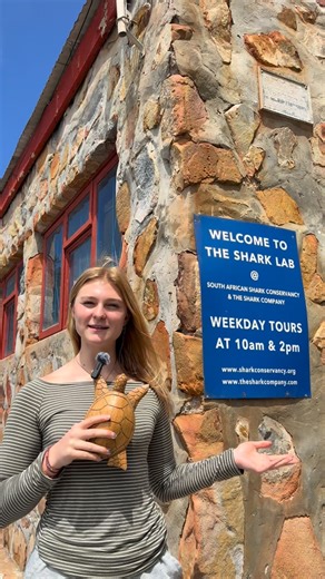 South African Shark Conservancy on Instagram: "You don’t have to be an expert to help save a sea turtle. Knowing what to do can give them a second chance Sea Turtle Rescue Hotline: 083 300 1663 The South African Shark Conservancy is also a drop off point! #marinebiology #oceanconservation #seaturtles #southafrica #marinescience"