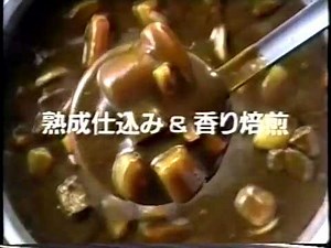 グリコ 熟カレー 小林カツ代 cm