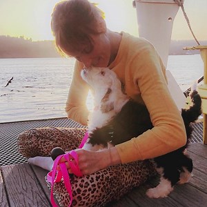 What if your dog or cat could tell you when they're in pain so you could help them faster? Give them the words to tell you what they are feeling. | FluentPet