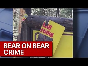 Bear warning sign damaged by bears