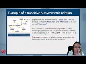 A8 Did you ever wonder what is behind the ATLAS ti network function? (chapter 7)
