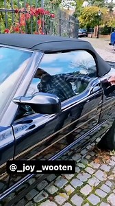 BMW Z1's Awesome Sliding Doors | The Ultimate Bass Factory