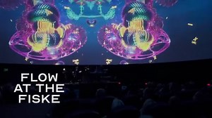 76 reactions · 19 shares | Save $20 when you pick up a pair of...