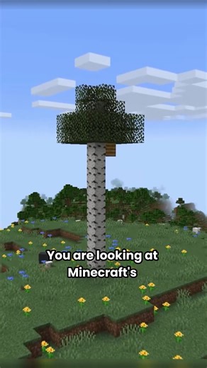 16K views · 163 reactions | Largest Birch Tree Minecraft #minecraft #minecraftmemes #minecraftbuilds #minecraftpe #minecraftmods | Piggy World | Facebook