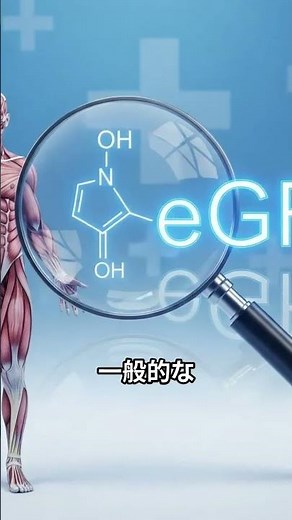 健診で「腎臓の数値が悪い」と言われたら？eGFR低下・尿蛋白の危険サインと透析を防ぐ専門医の最新対策