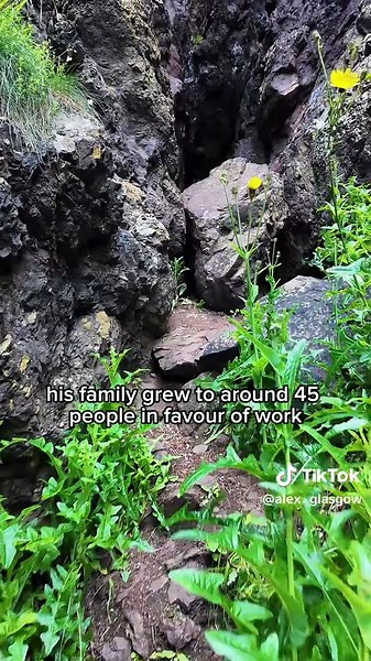 Alex Hunter on TikTok