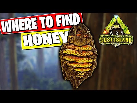 WHERE TO FIND HONEY ON THE LOST ISLAND