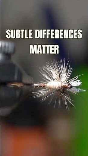 Why Fish a Paraloop Instead of a Parachute?
