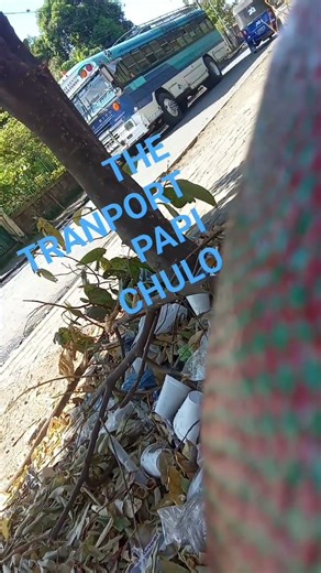 THE TRANPORT PAPI CHULO