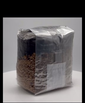 Mushroom Grow Kit - All in One Mushroom Grow Bags (Pack of 1)