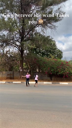 Discover CandyHut: The Best Candy Stores in Harare