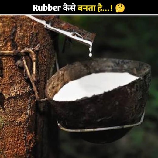 How Is Rubber Made 🤯 #shorts #rubber #facts #viral #trending #million