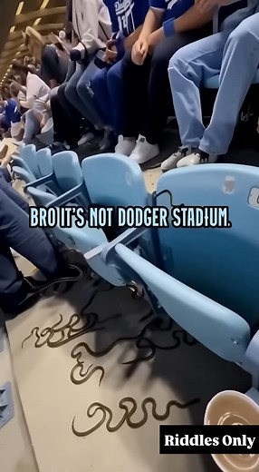 11K views | Imagine paying for front row seats and getting Fear Factor instead | Riddles Only | Facebook